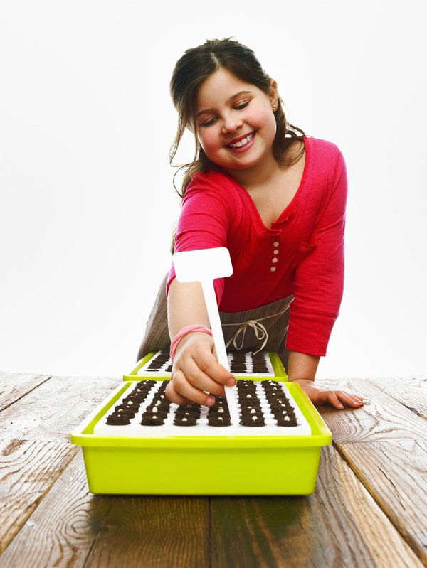 Modular bungalows: affordable solutions for any occasion